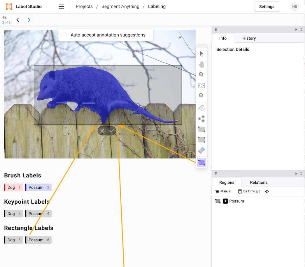 使用 Label Studio+SAM 对图像进行自动分割、打标