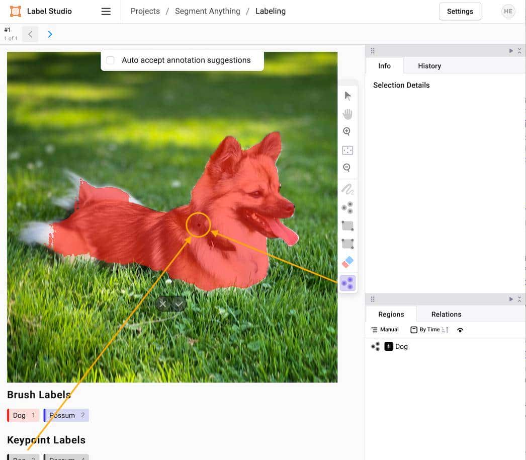 使用 Label Studio+SAM 对图像进行自动分割、打标