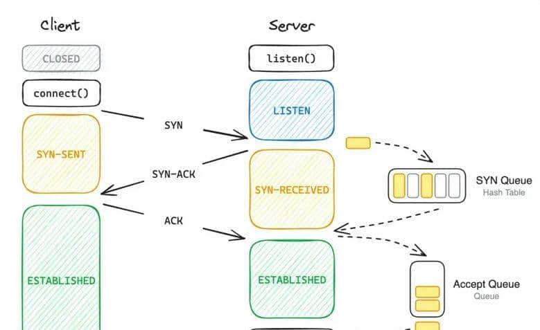 通过实验深入了解 TCP 连接的建立和关闭