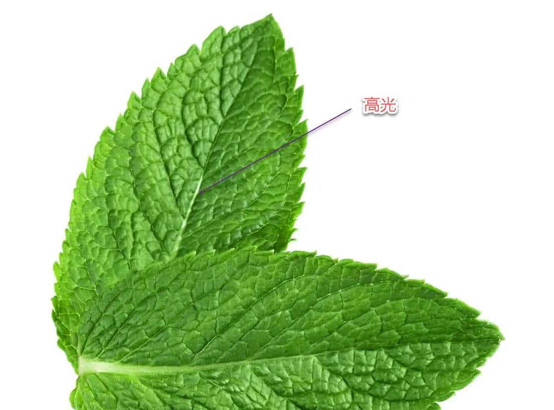 Substance Designer 学习笔记之六：PBR应用揭秘