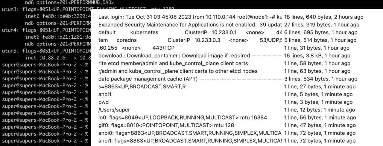 Mac os 终端iTerm2 (一)