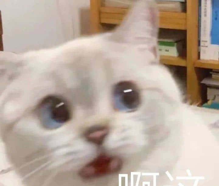 戴森发布了一款戴在嘴巴上的耳机，我还以为愚人节提前来了呢