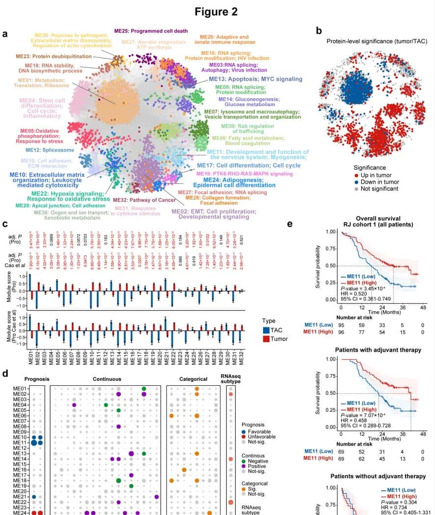 Nat Med.作者提供全文的绘图代码，对于学习作图很有协助（一）