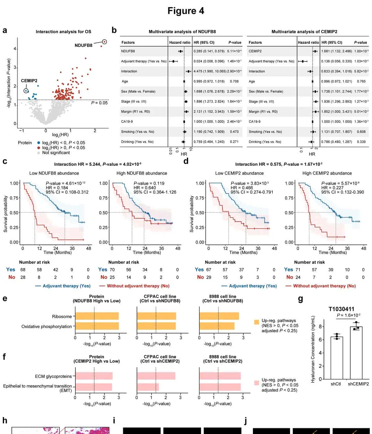 Nat Med.作者提供全文的绘图代码，对于学习作图很有协助（一）