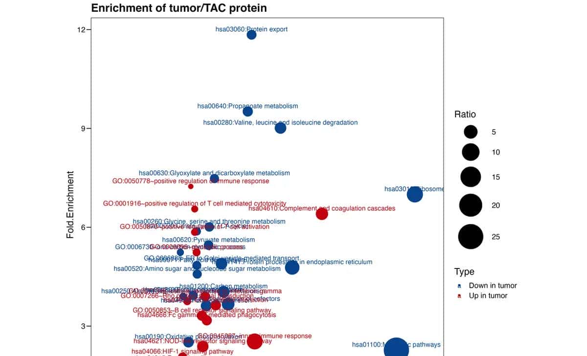 Nat Med.作者提供全文的绘图代码，对于学习作图很有协助（一）