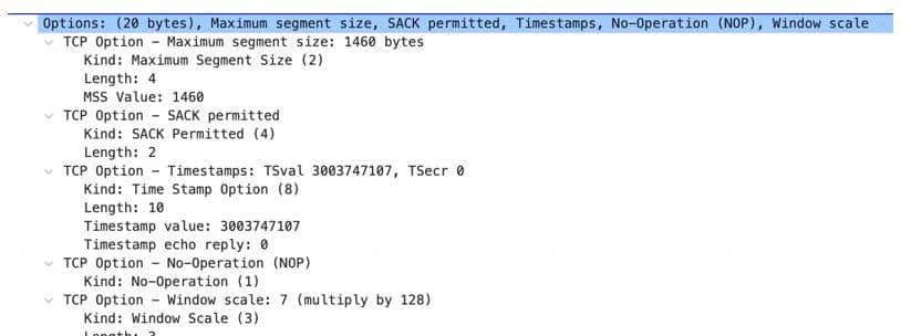 通过实验深入了解 TCP 连接的建立和关闭