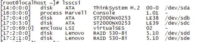 Linux调整Raid卡驱动加载顺序来调整盘符命名顺序