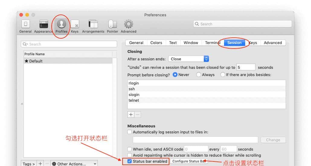 iTerm2 + Oh My Zsh 配置 MacOS 超级终端