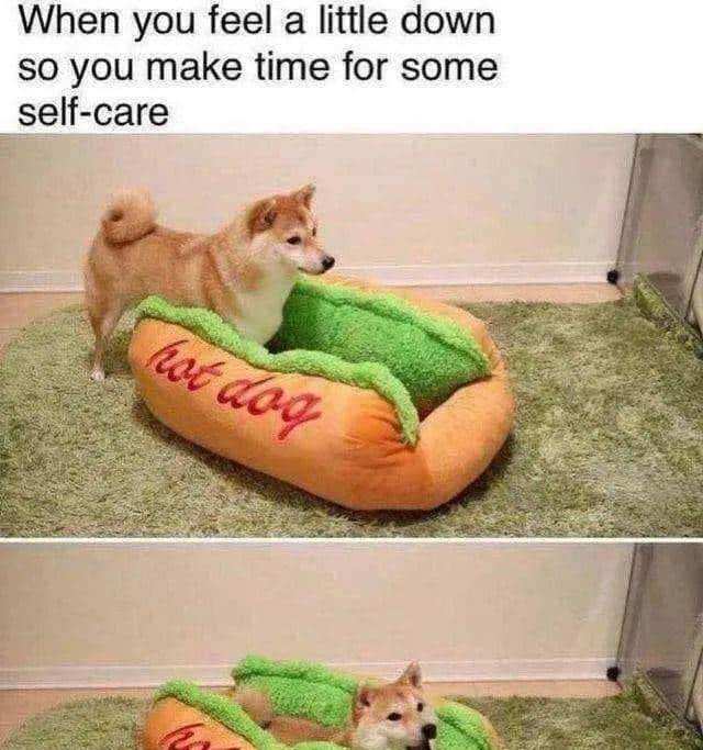 不止好好活，更要好好死：人生新视角