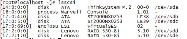 Linux调整Raid卡驱动加载顺序来调整盘符命名顺序