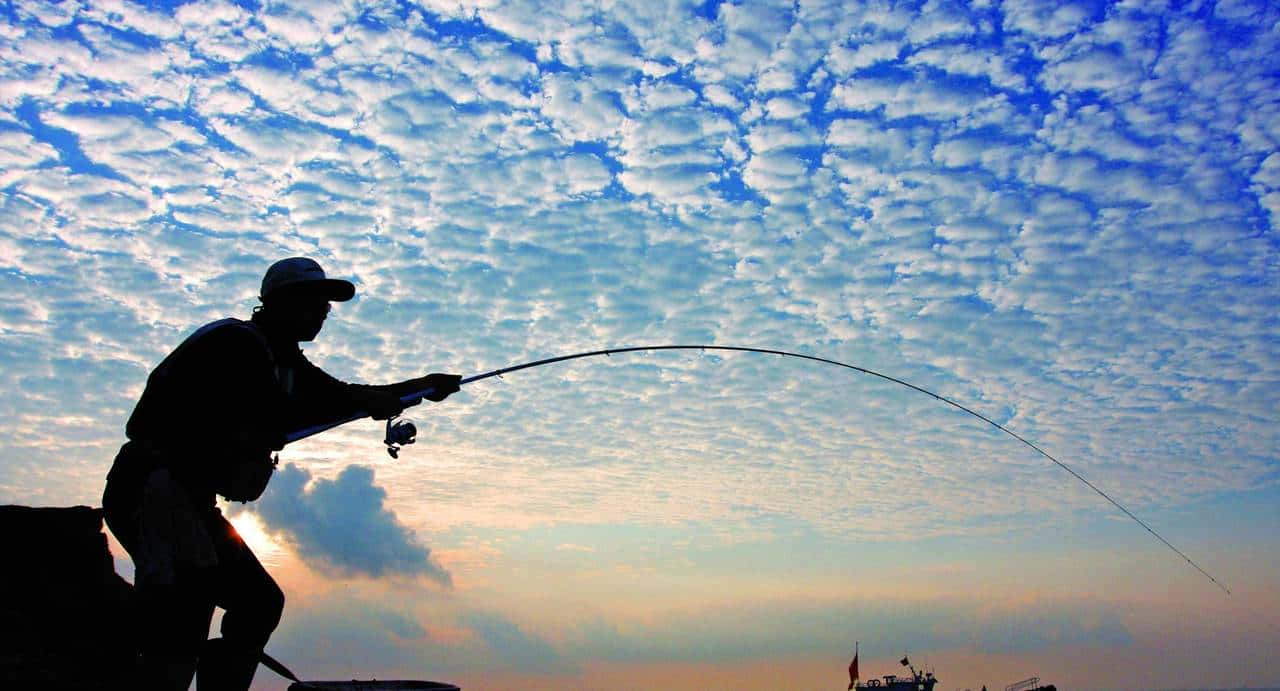 教你如何挑选适合自己的显卡&注意事项以及常见误区