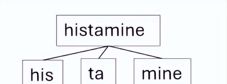 第三集:RAG架构中的嵌入模型(Embedding Model)介绍
