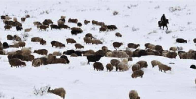 小脚趾拥有两瓣甲的人,是纯种汉人?他们到底是何来历?