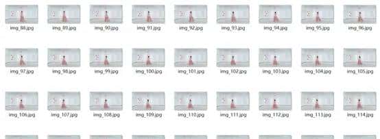 python制作一个词云跳舞美女视频(转载）