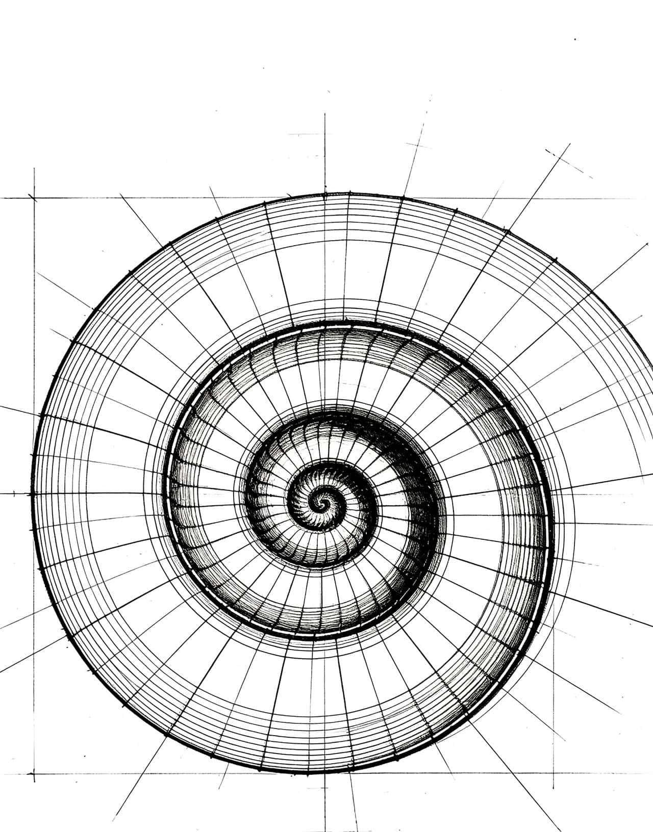 100条干货:怎样使用一环扣一环的逻辑链条?