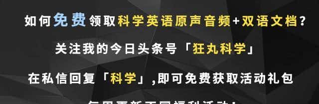 马斯克喜提最贵「四驱车跑道」，2公里价值1000万美金