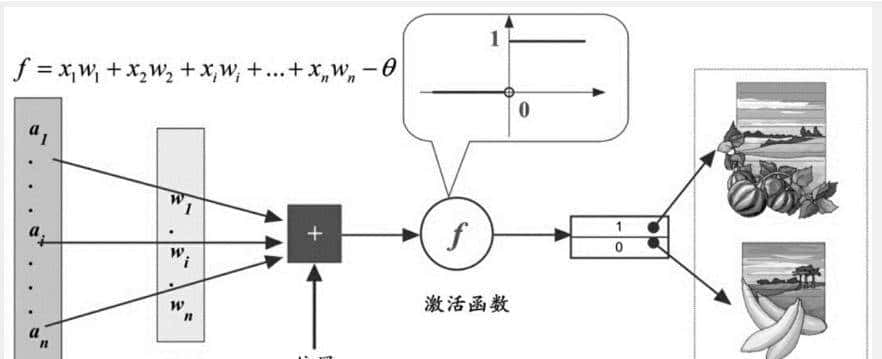 机器学习中的函数（1）- 激活函数和感知机