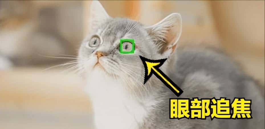 从单反换成了微单，这些拍照习惯也需要改变