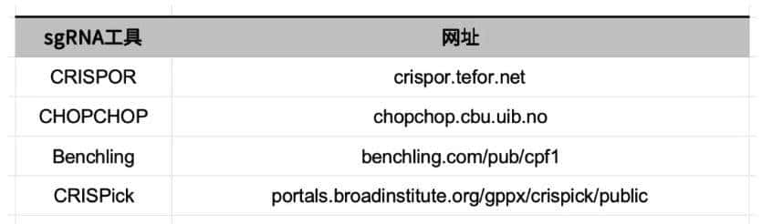 从 “听天由命” 到 “指哪打哪”：一文了解小鼠基因编辑技术