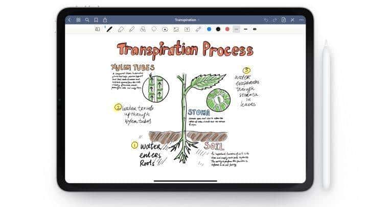 PDF阅读软件综合评测PDF Expert MarginNote、Notability Zotero