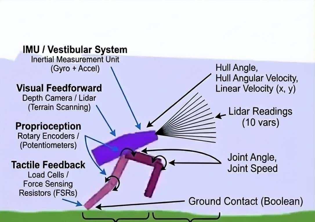 BipedalWalker实战：SAC算法如何让机器人学会稳定行走