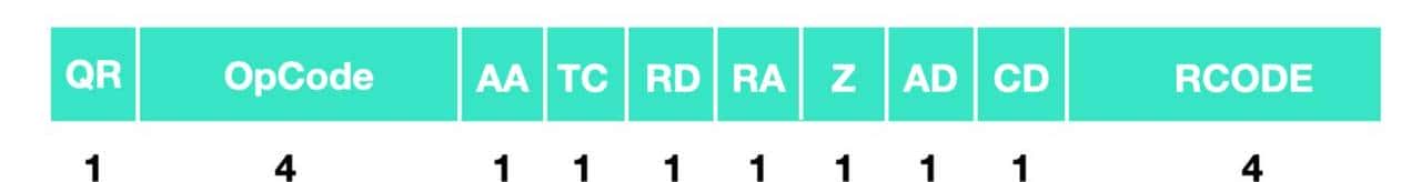 万字长文爆肝 DNS 协议
