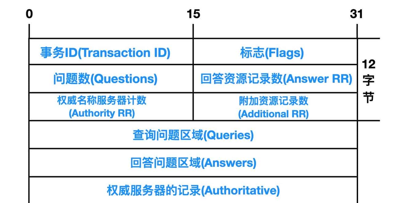 万字长文爆肝 DNS 协议