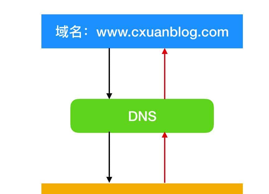 万字长文爆肝 DNS 协议