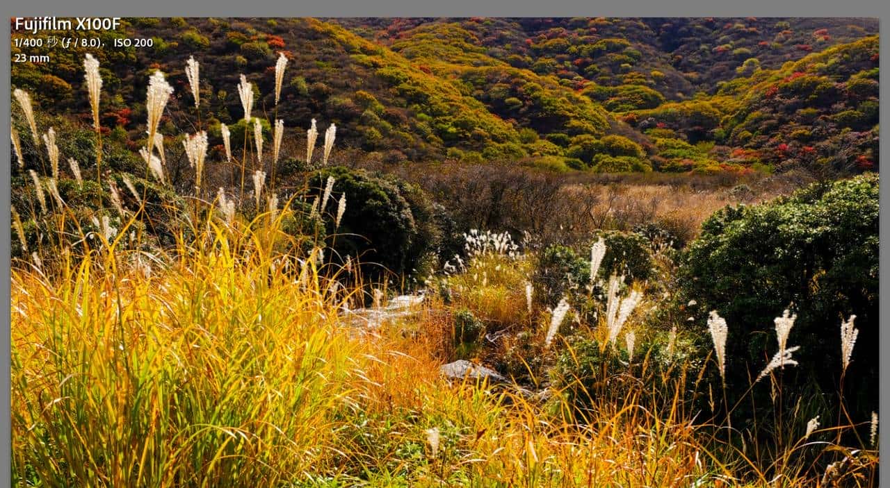 在2024买一台X100F？Fujifilm X100F三年使用心得