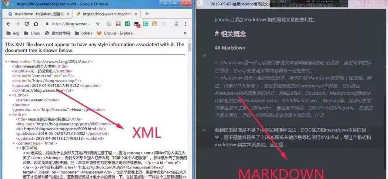 Sci.Fun | 如何使用markdown撰写论文？