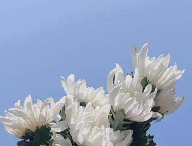 四言诗:怀念父亲