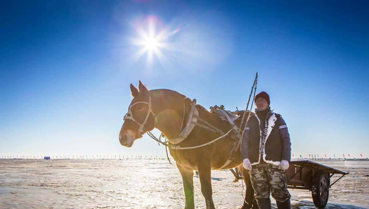 新鲜出炉CSP-J/S 2023第一轮晋级成绩及第二轮晋级事项