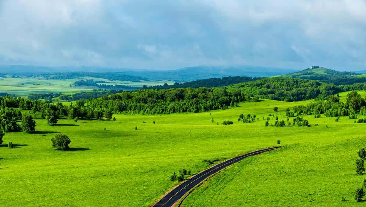 新鲜出炉CSP-J/S 2023第一轮晋级成绩及第二轮晋级事项