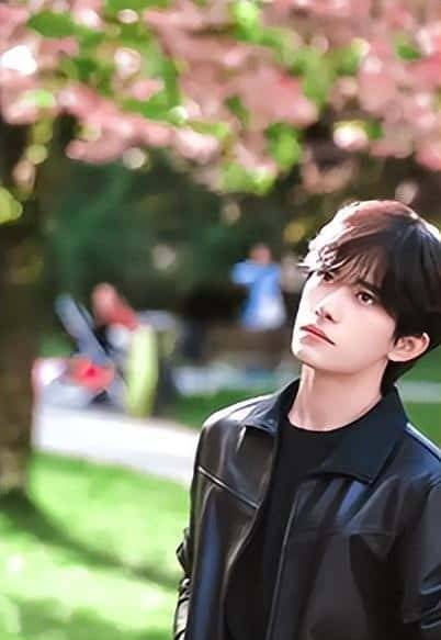 舒淇锐评易烊千玺，不提演技二字，却一针见血，句句戳观众心坎