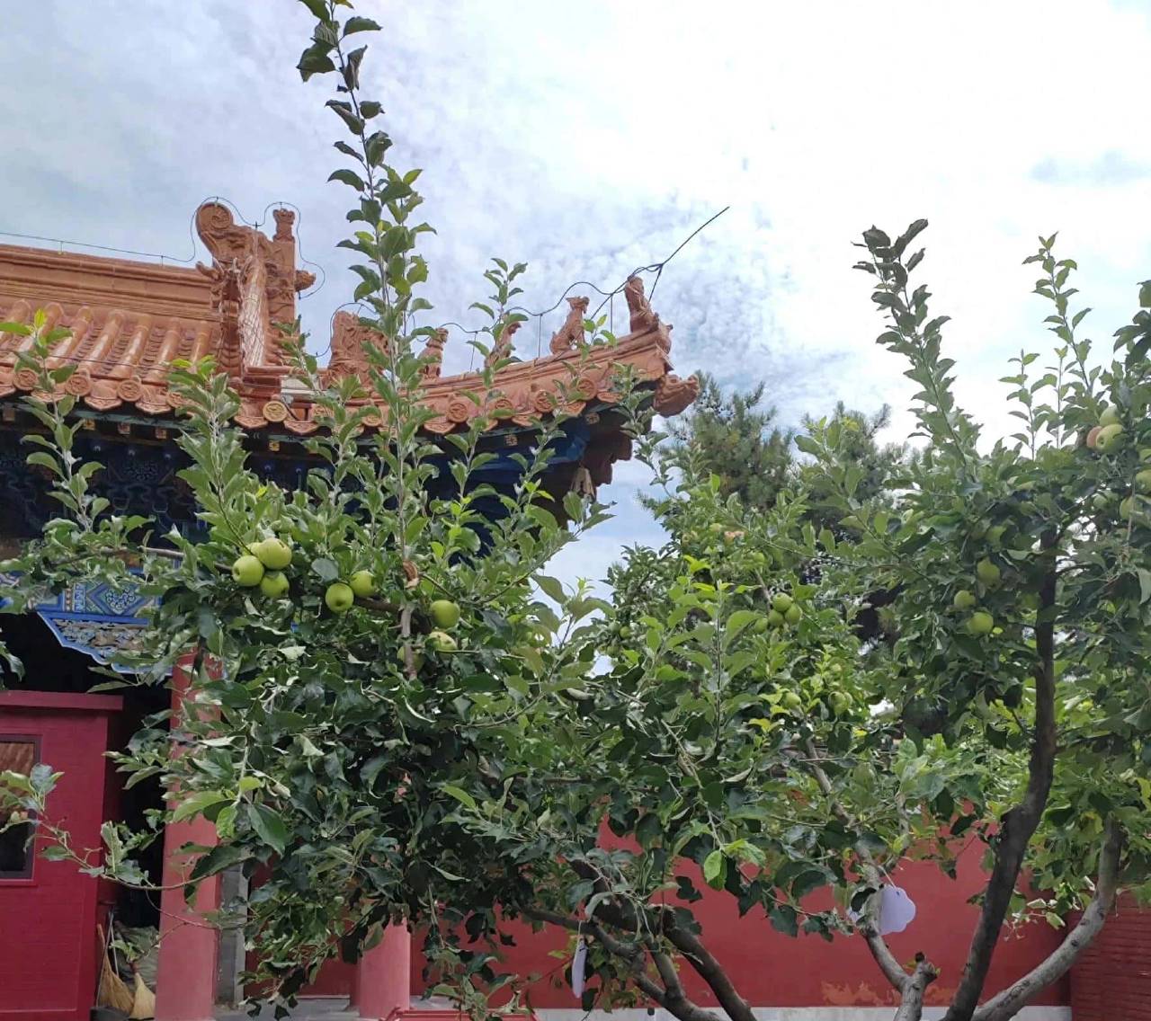 与put有关的短语及例句!