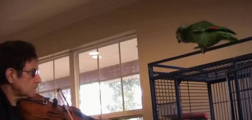 听了30遍《说好不哭》后,我们找到了周杰伦歌曲洗脑的缘由