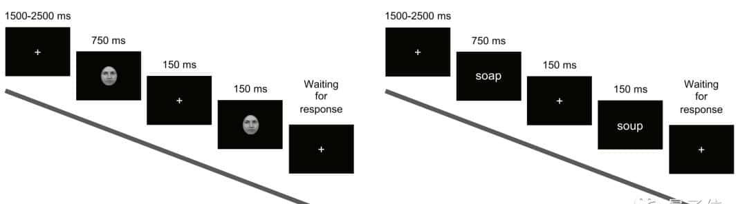 只剩半个大脑,人识字看脸准确率竟还能达80% | PNAS