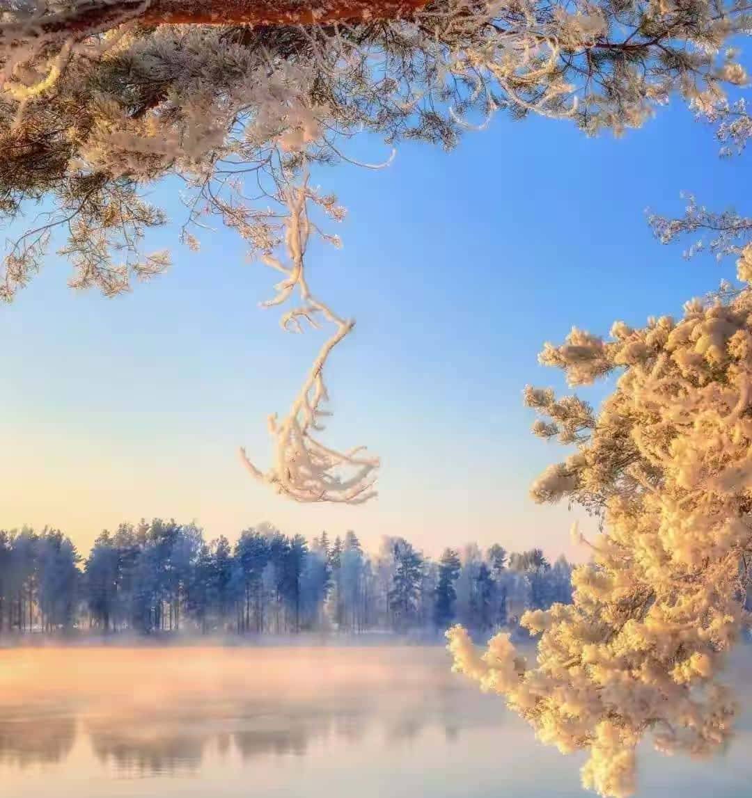 信任解剖学:三刀剖开真心假意