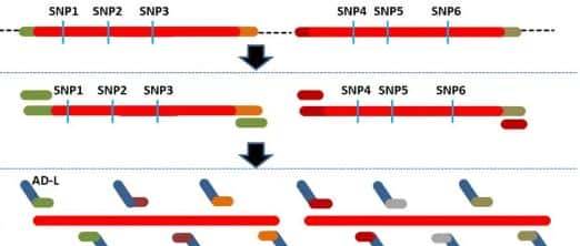 过量表达TaSAP12-D基因,在改良作物的耐盐性上,有哪些重大作用