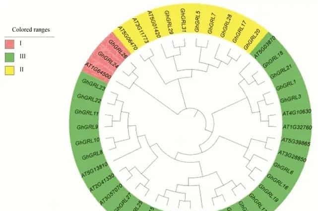 过量表达TaSAP12-D基因,在改良作物的耐盐性上,有哪些重大作用