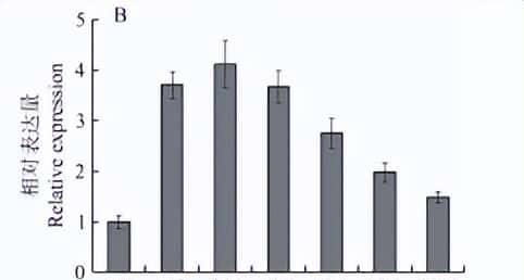 过量表达TaSAP12-D基因,在改良作物的耐盐性上,有哪些重大作用
