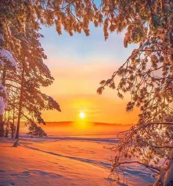 信任解剖学:三刀剖开真心假意