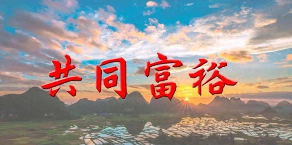 张建刚丨实现共同富裕的路径辨析:生产还是分配