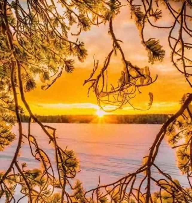 信任解剖学:三刀剖开真心假意