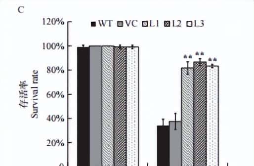 过量表达TaSAP12-D基因,在改良作物的耐盐性上,有哪些重大作用