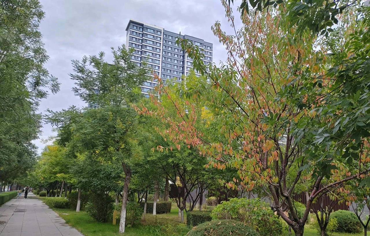 人教版八年级下册英语第一单元单词及重点单词详解！