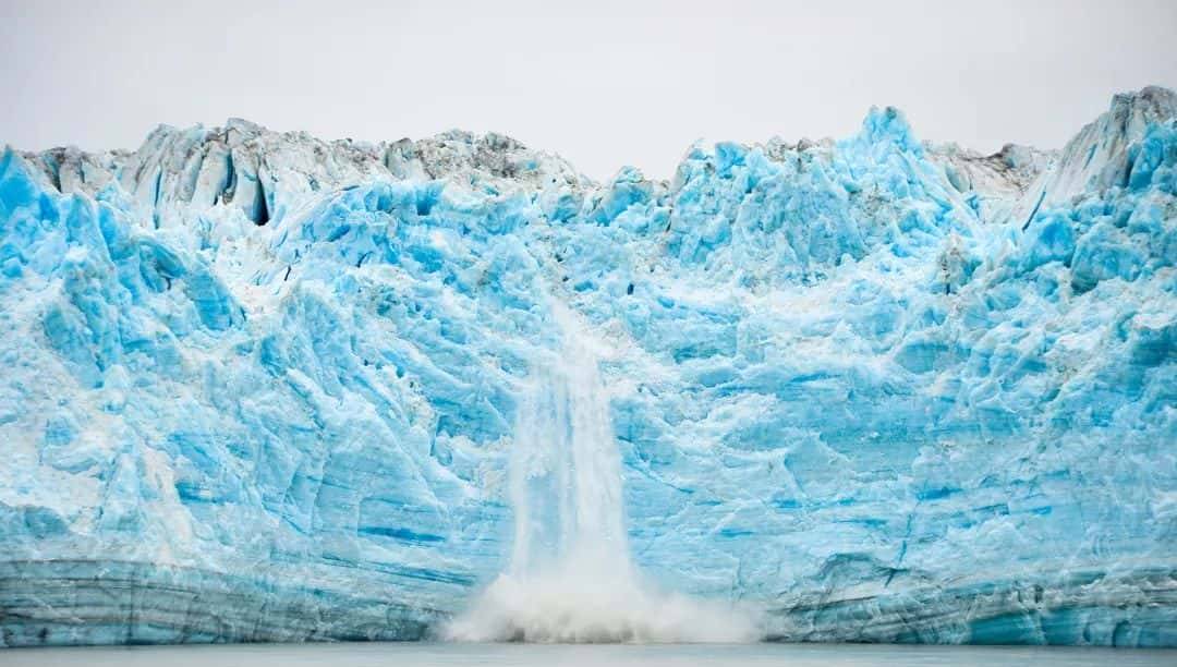 它,配得上勇敢者的付出