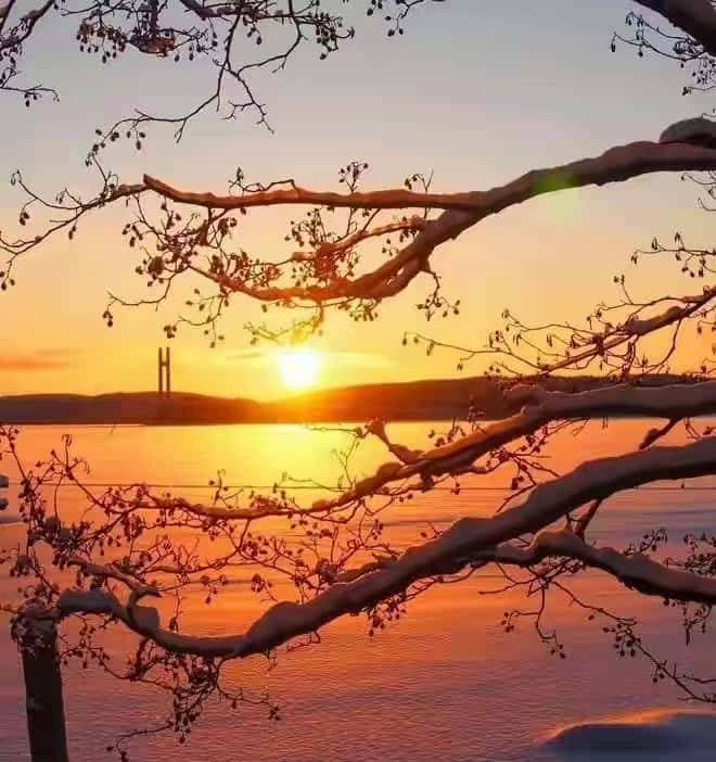 信任解剖学:三刀剖开真心假意