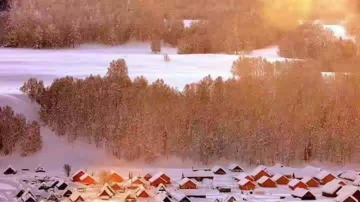 信任解剖学:三刀剖开真心假意