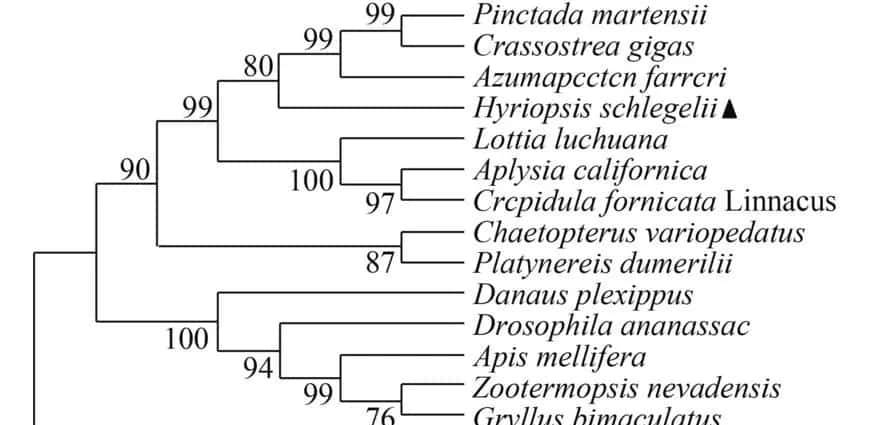 过量表达TaSAP12-D基因,在改良作物的耐盐性上,有哪些重大作用
